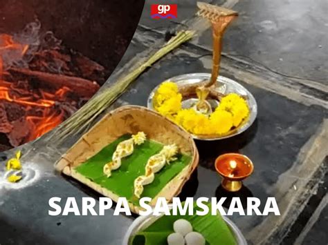 sarpa samskara pooja.